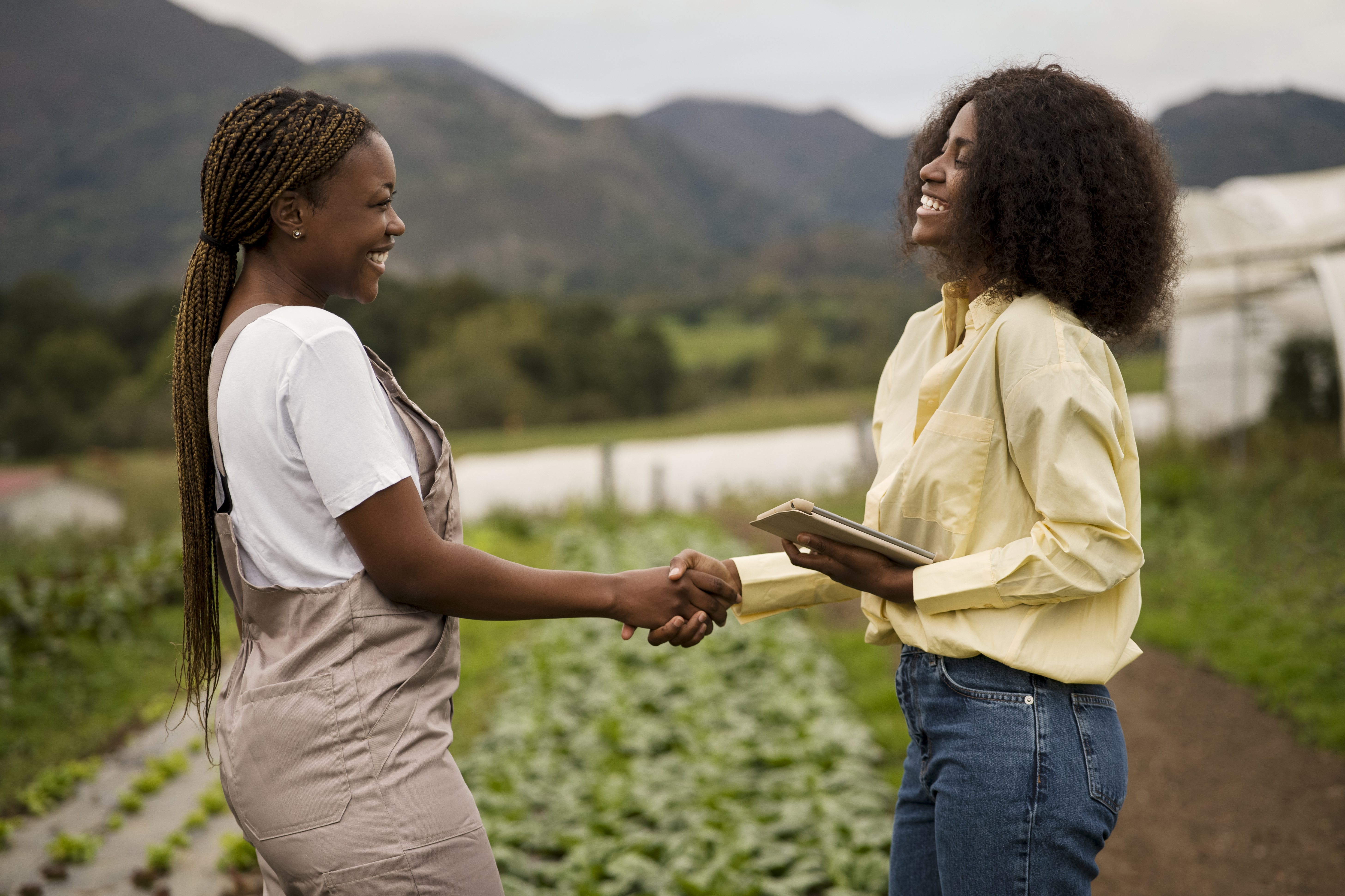 Partnerships Drive Success